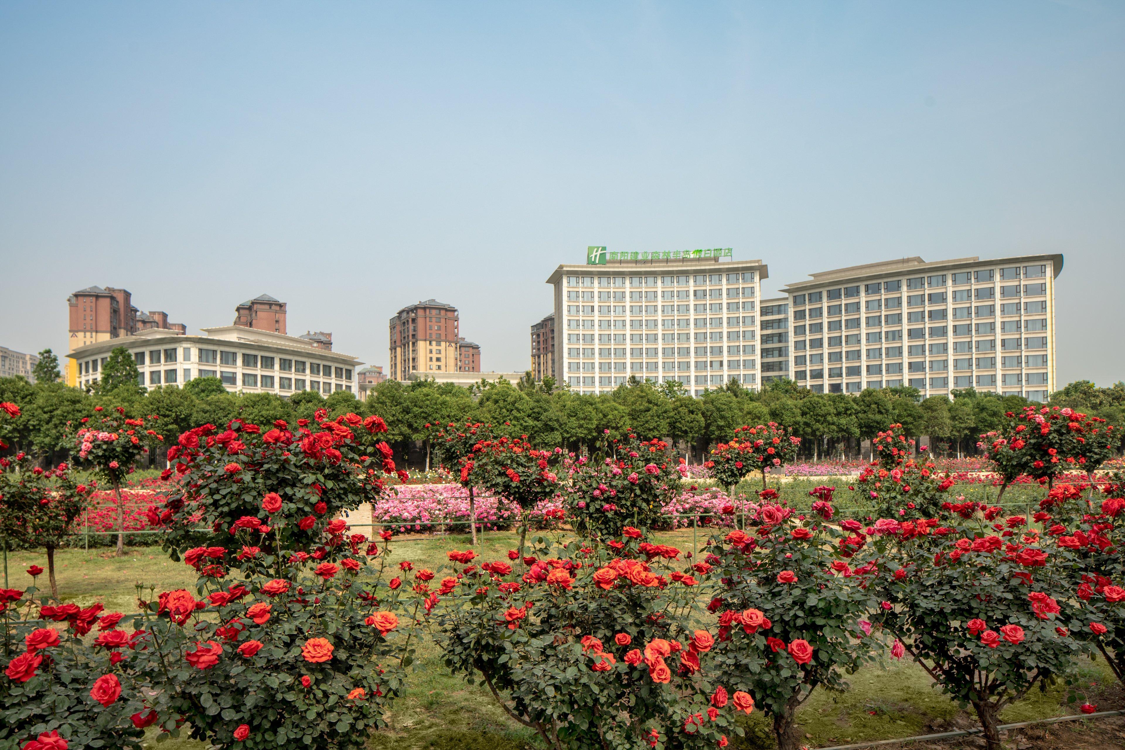 Holiday Inn Nanyang By Ihg Nanyang (Henan) Exterior foto