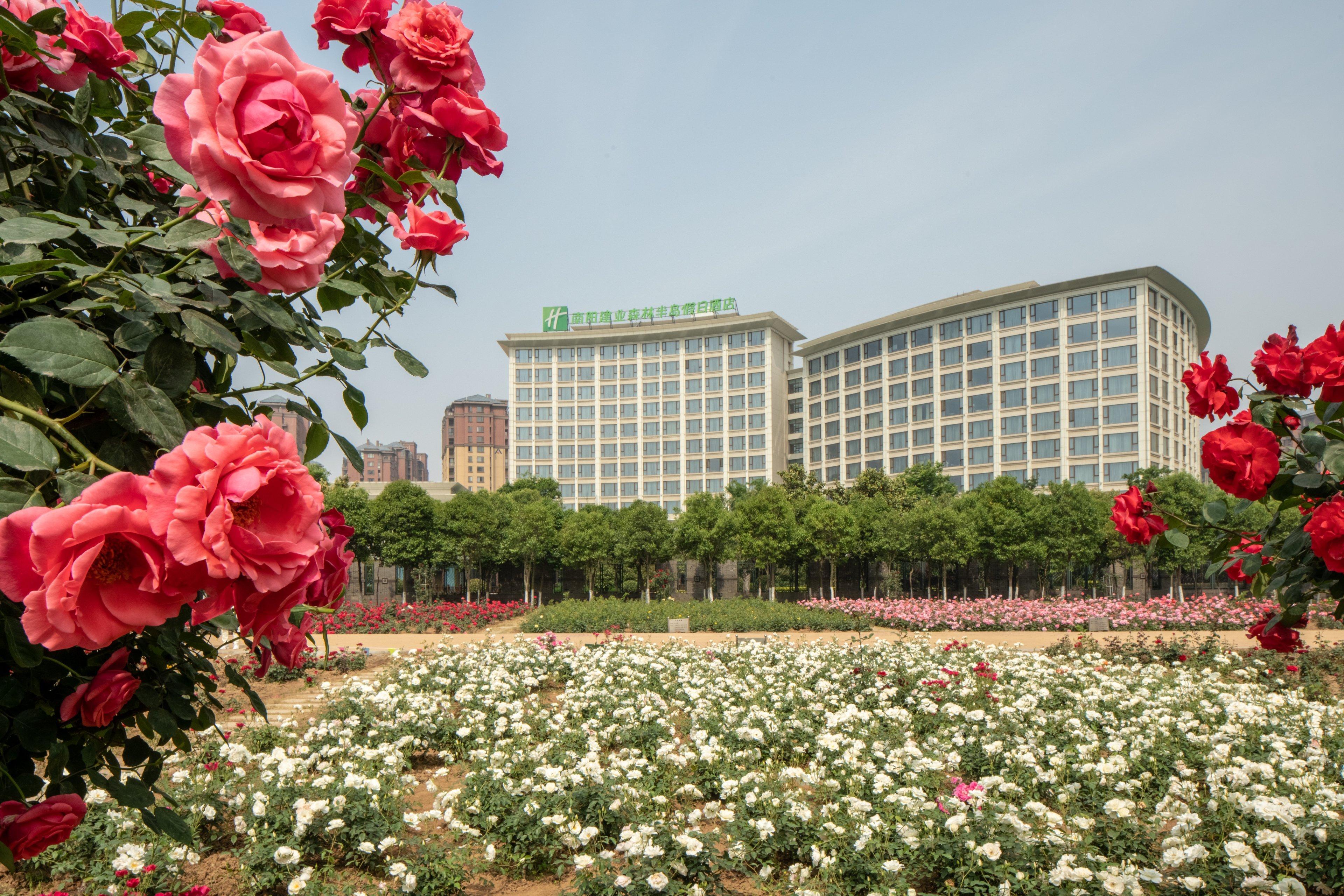 Holiday Inn Nanyang By Ihg Nanyang (Henan) Exterior foto